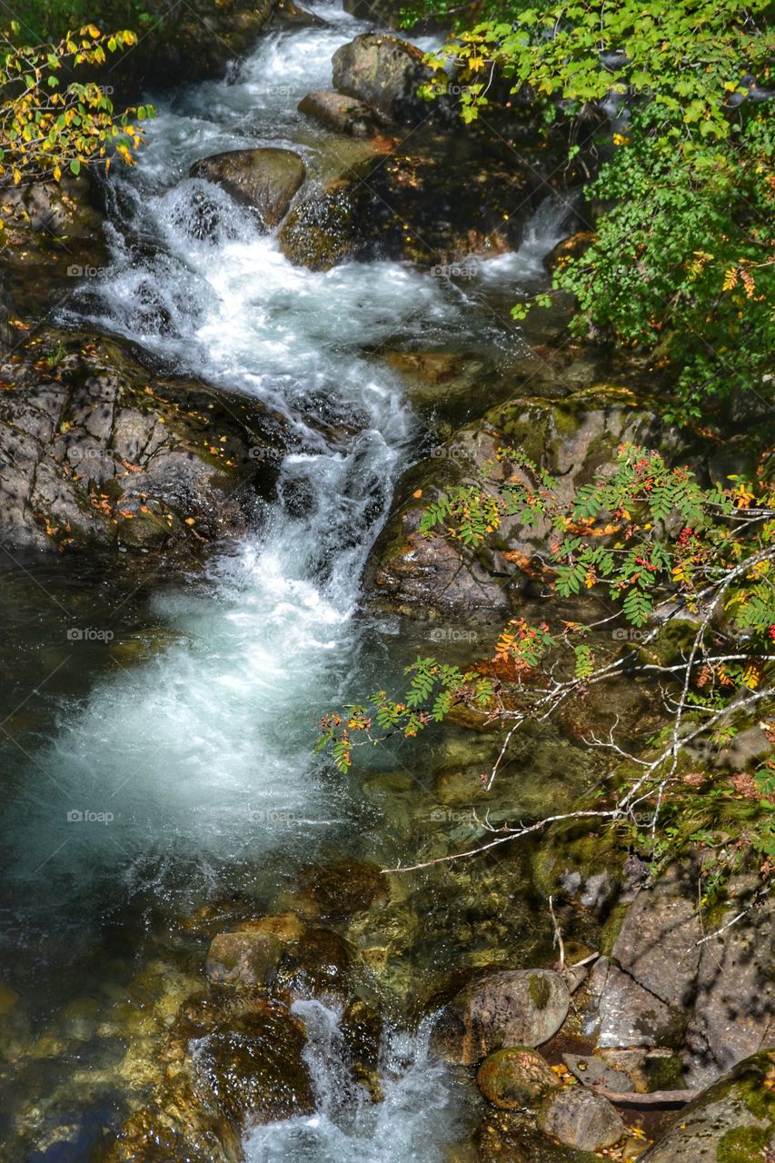 Stream in the Rila Mountains