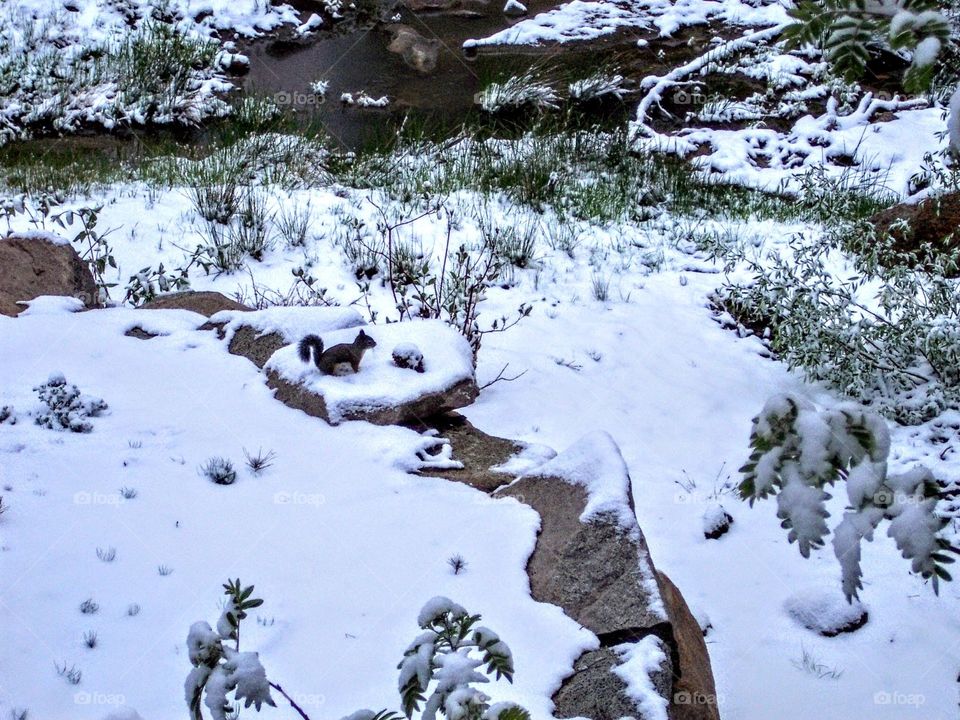 Lake Tahoe area. Snow on Memorial Day weekend!