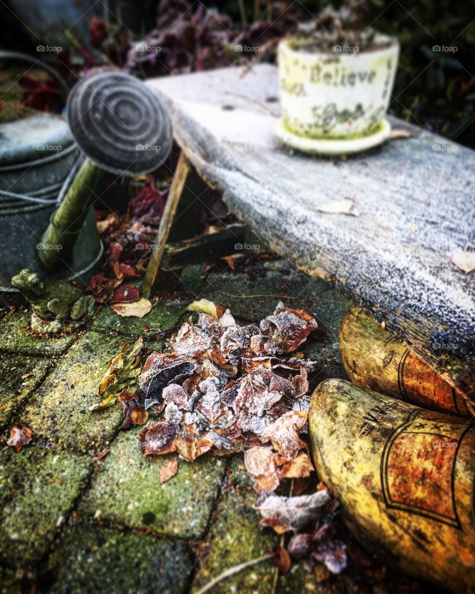 Garden autumn cold freezing