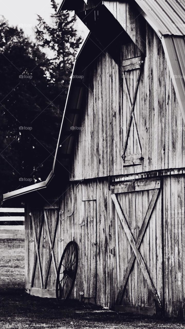 The grain of a wood barn is beautifully highlighted on an overcast day in Tennessee. Black and White