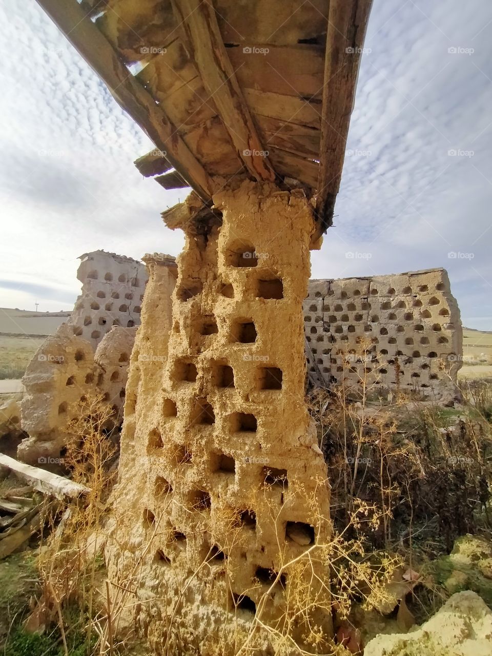 urbanos rural...,Palomar