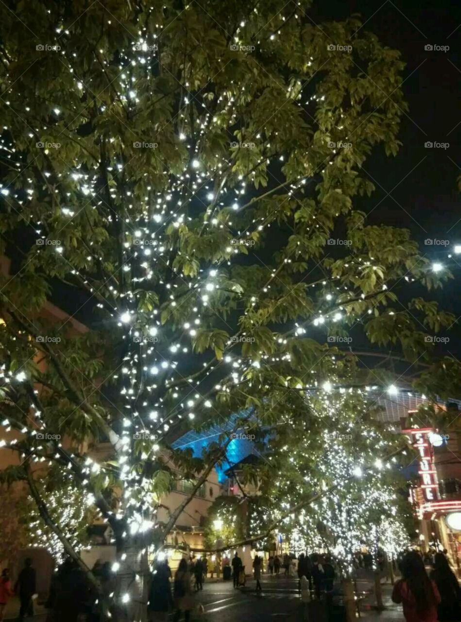 street light tree