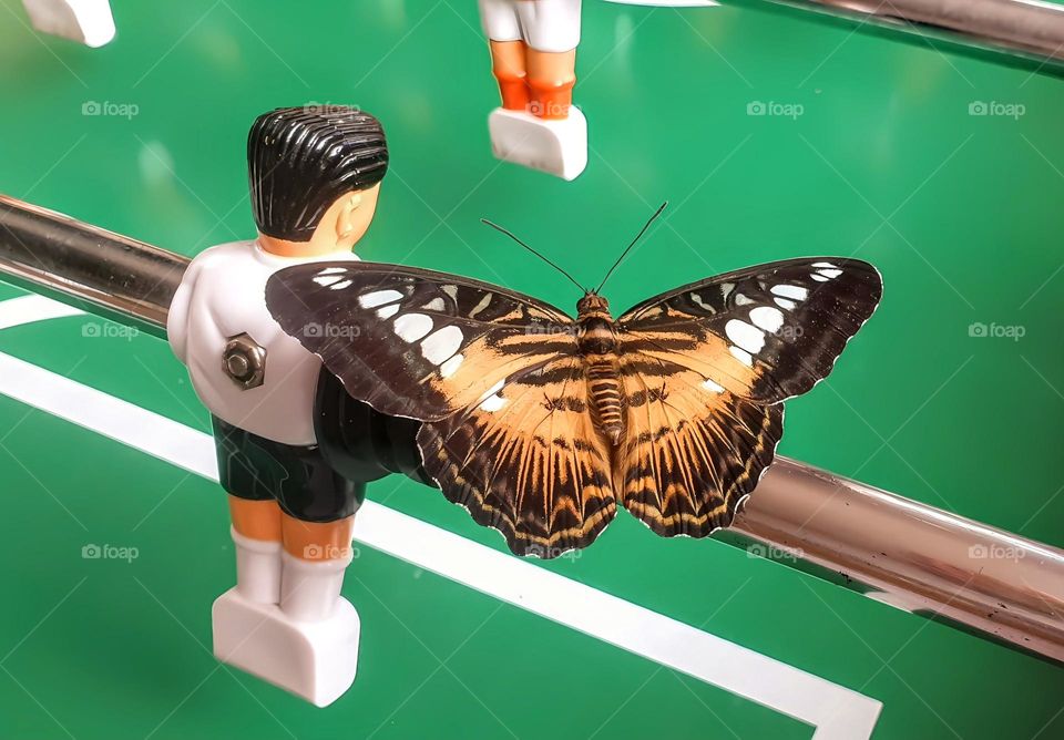 colorful picture from an orange, black and white butterfly who has landed on soccer play game next to one of the players