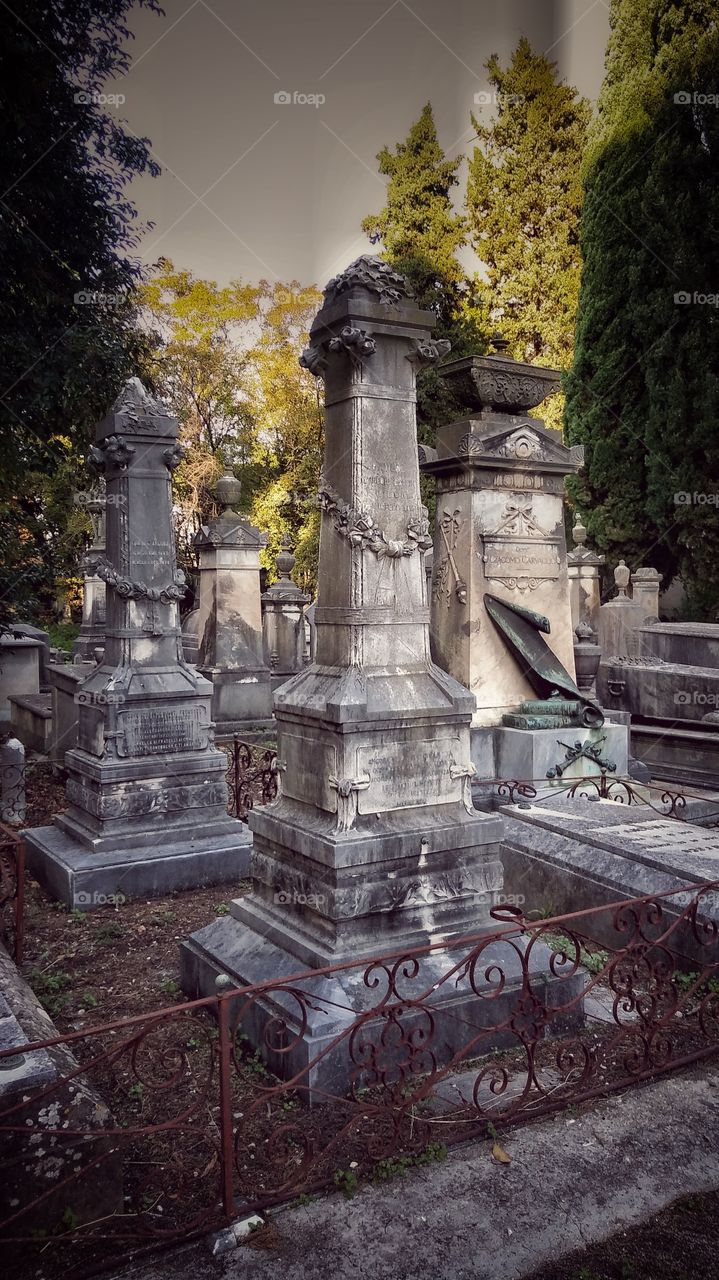 Jewish cemetery in Pisa (Italy)