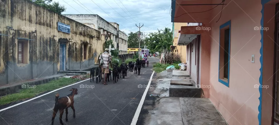 Urban vs.Rural