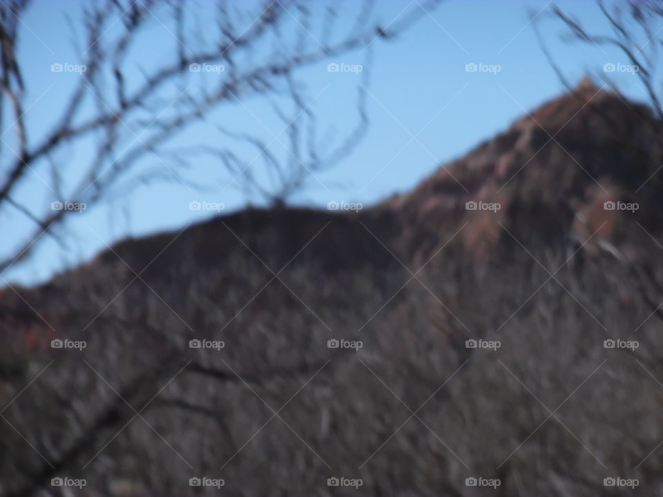 Look up in the sky, it's a bird, it's a plane  no it's Palo Duro Canyon state Park