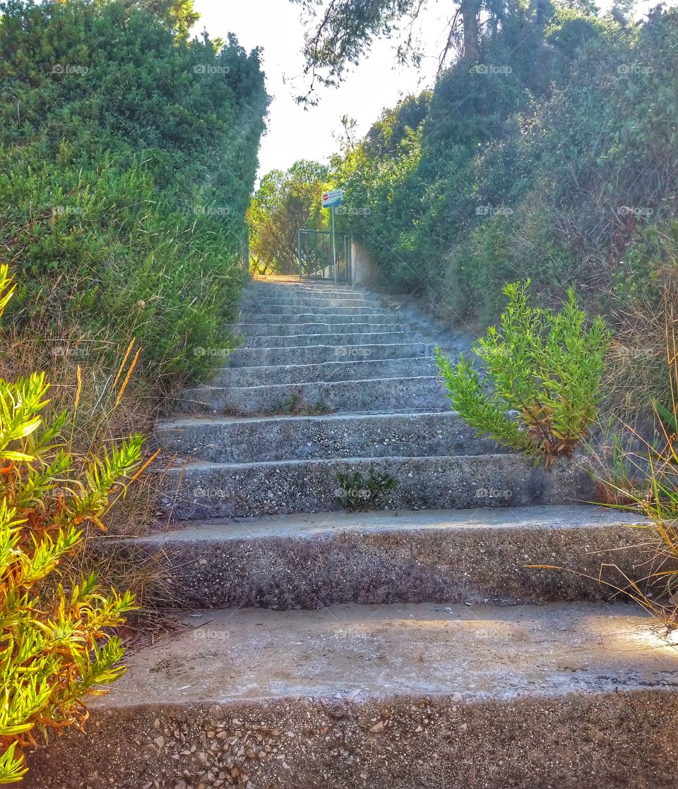 Take the path with unknown destination!