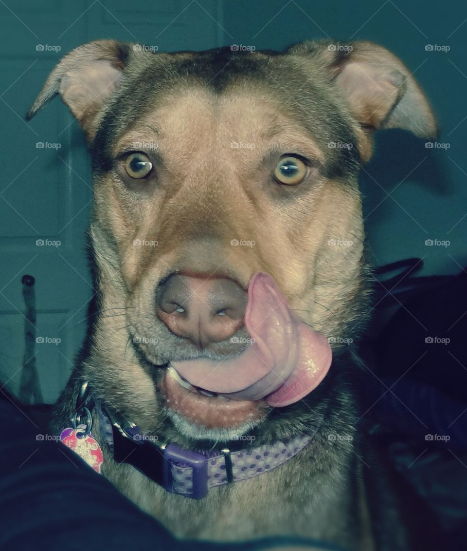 Paris and her facial expressions