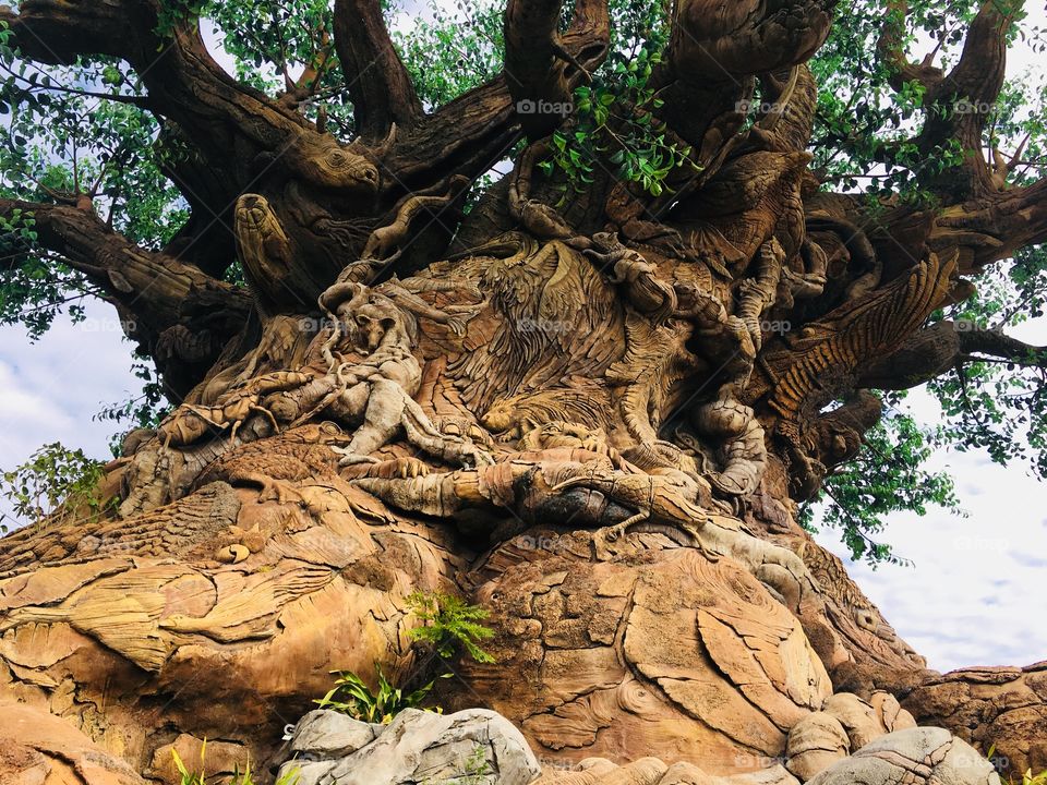 Tree of Life, Disney’s Animal Kingdom, Florida (2018)