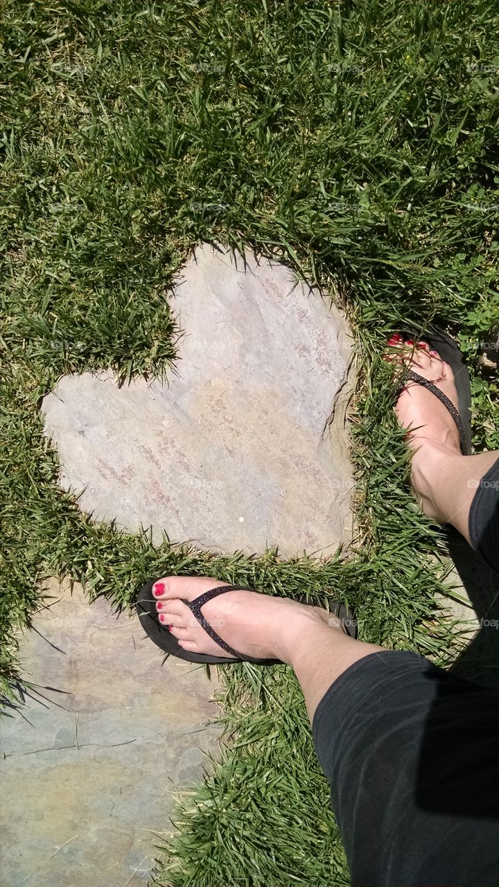 heart stepping stone. stone in grass