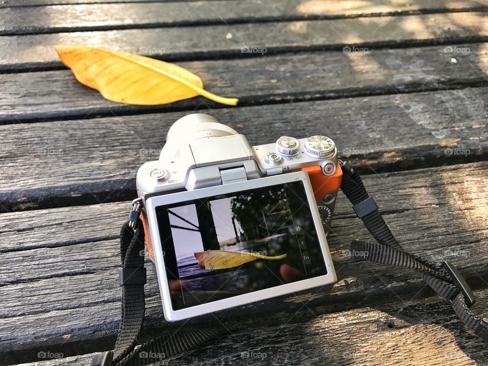 Close up my camera, it take a photo yellow leaf on wood floor