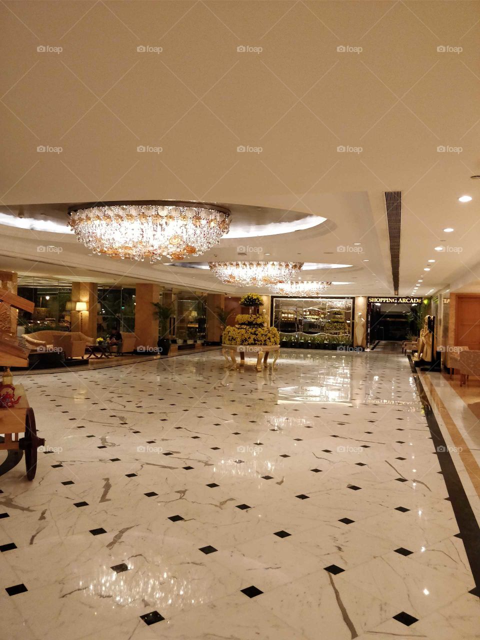 five star hotel lobby