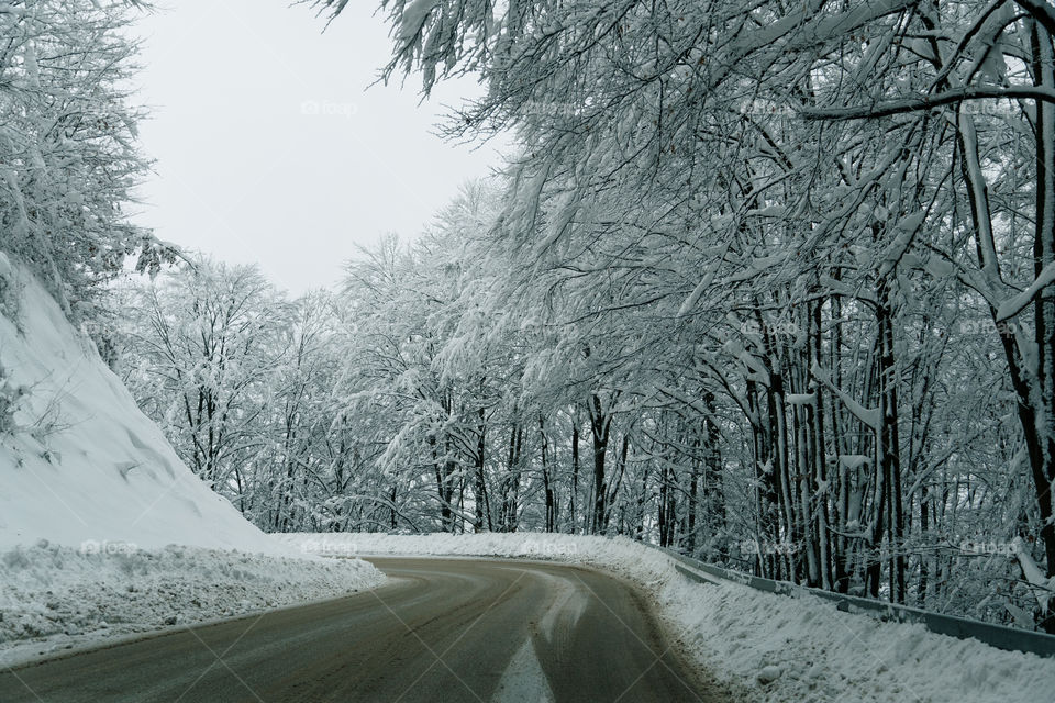 Snowy road in winter