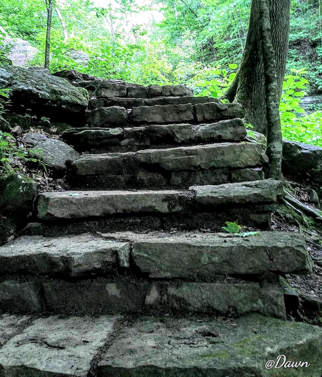 Stairway to Beauty