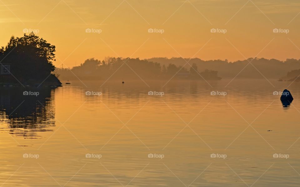 Orange evening