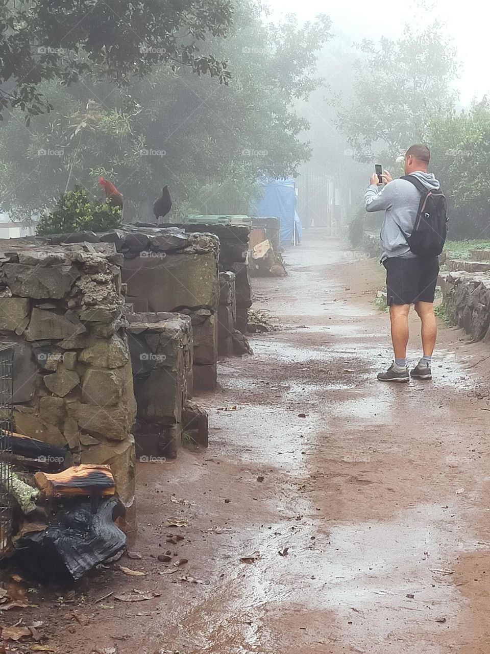 senderismo gran canaria