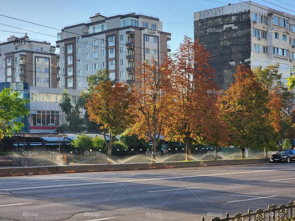 chisinau autumn