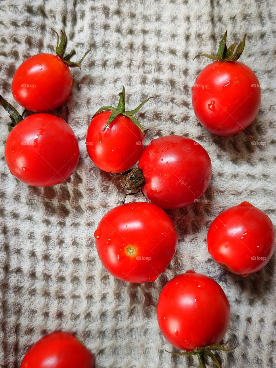 Red cherry tomatoes with water droplets on a light green towel