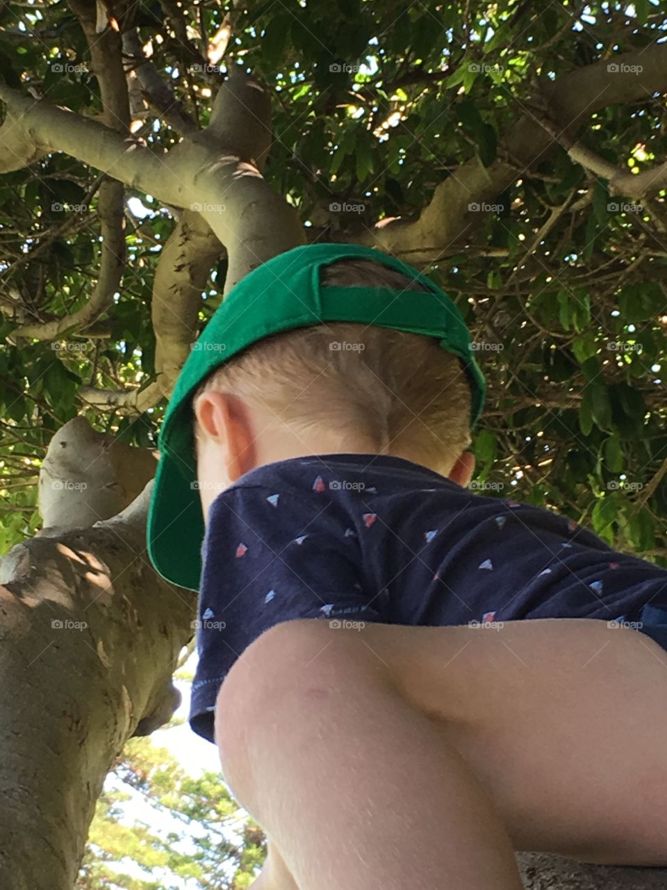 Boy climbing tree wearing green baseball cap