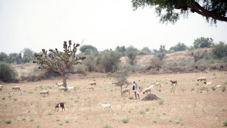 Impressive vast Dry land