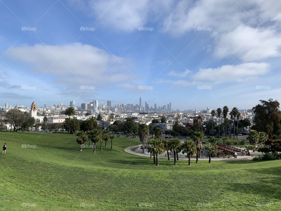 Park , palm trees and cityscape on a distance 