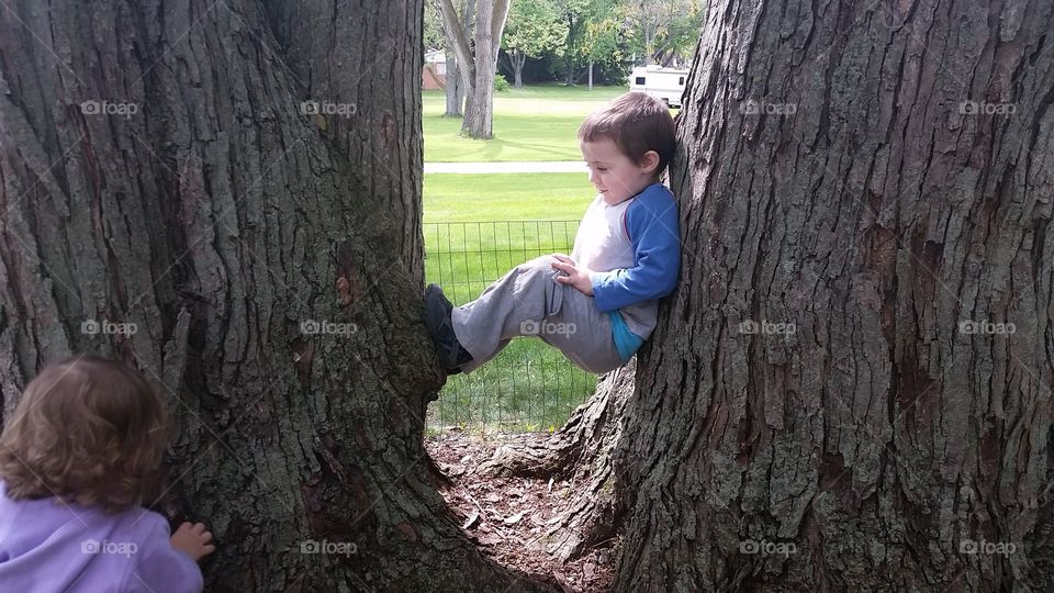 tree sitter. bro can sit anywhere