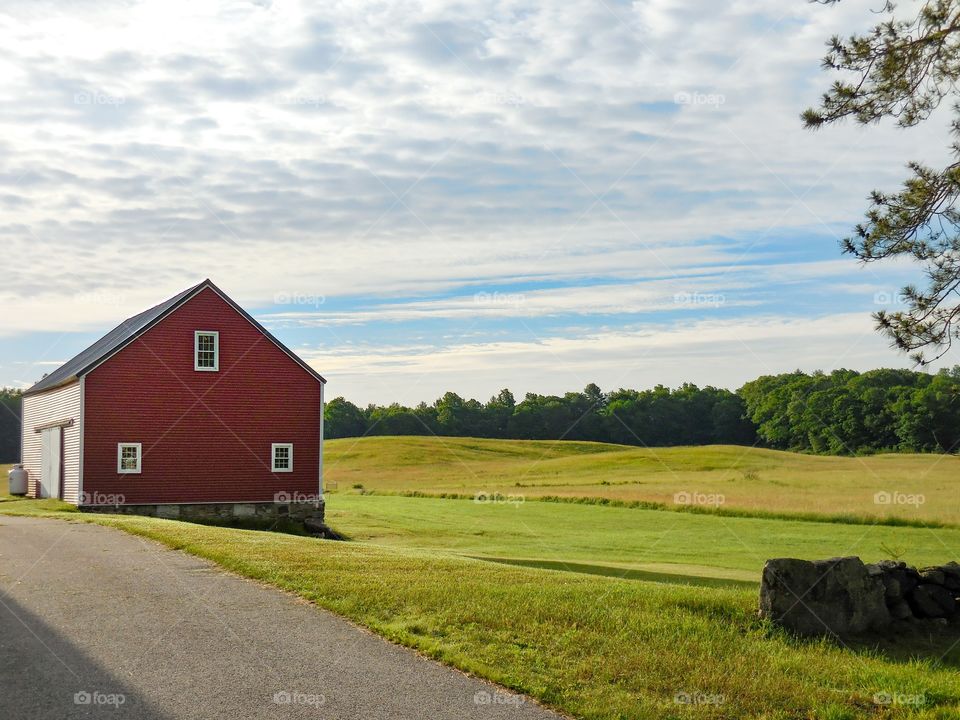 barn in field