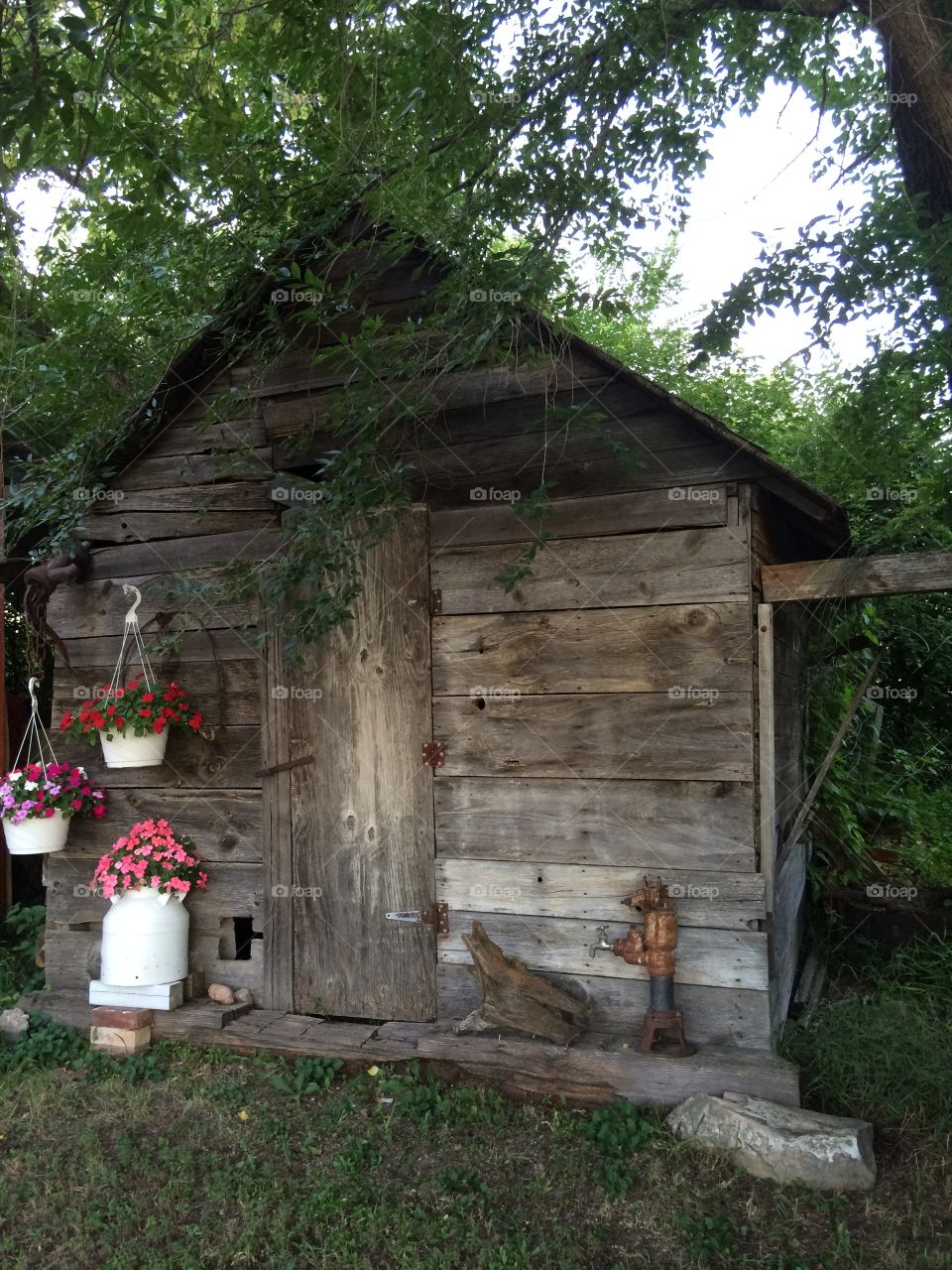 Shabby Chic Shed