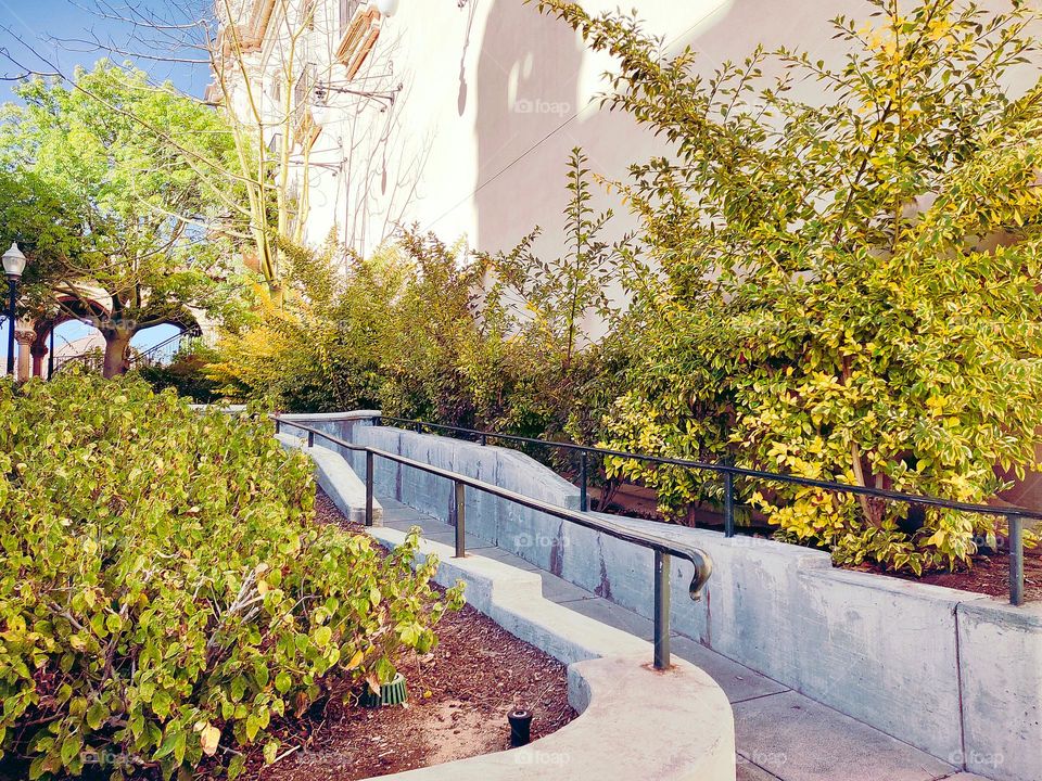 One Path Amongst A Thousand