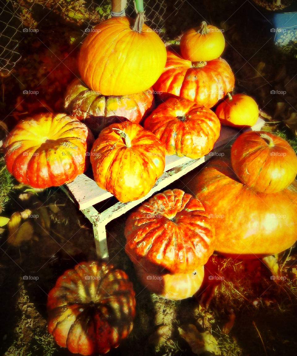 Pumpkins