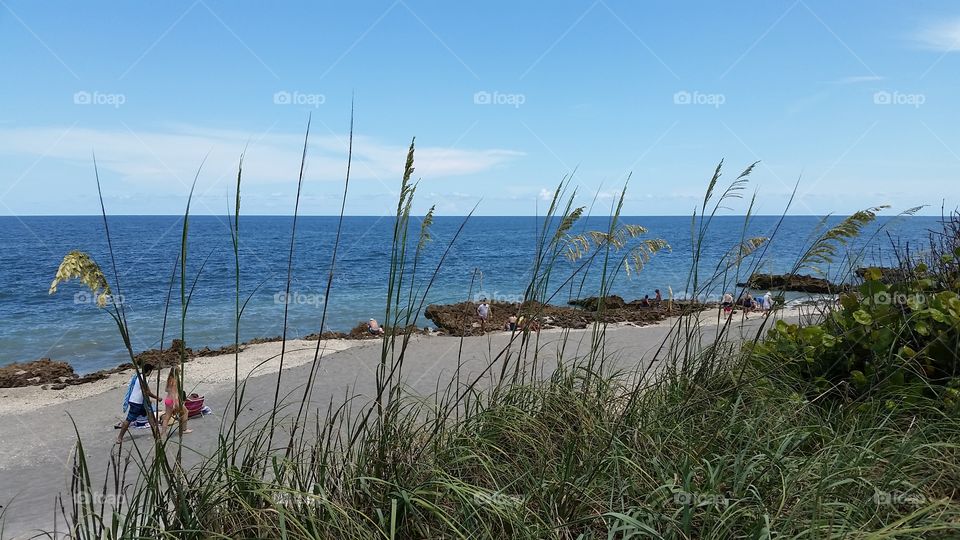 Beach, Water, Sea, Seashore, Sky