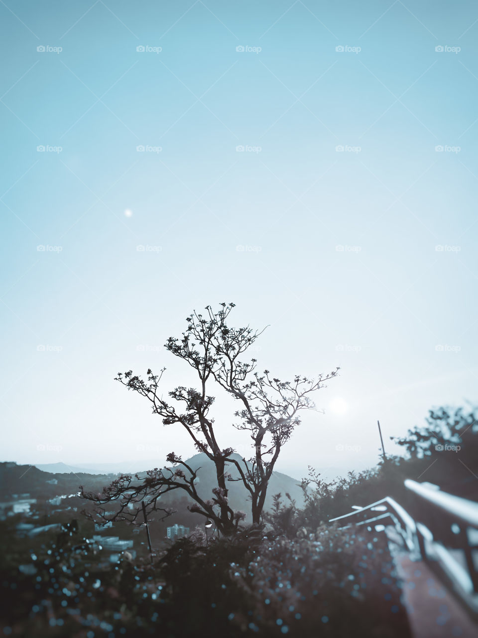 Breathe the wild air.