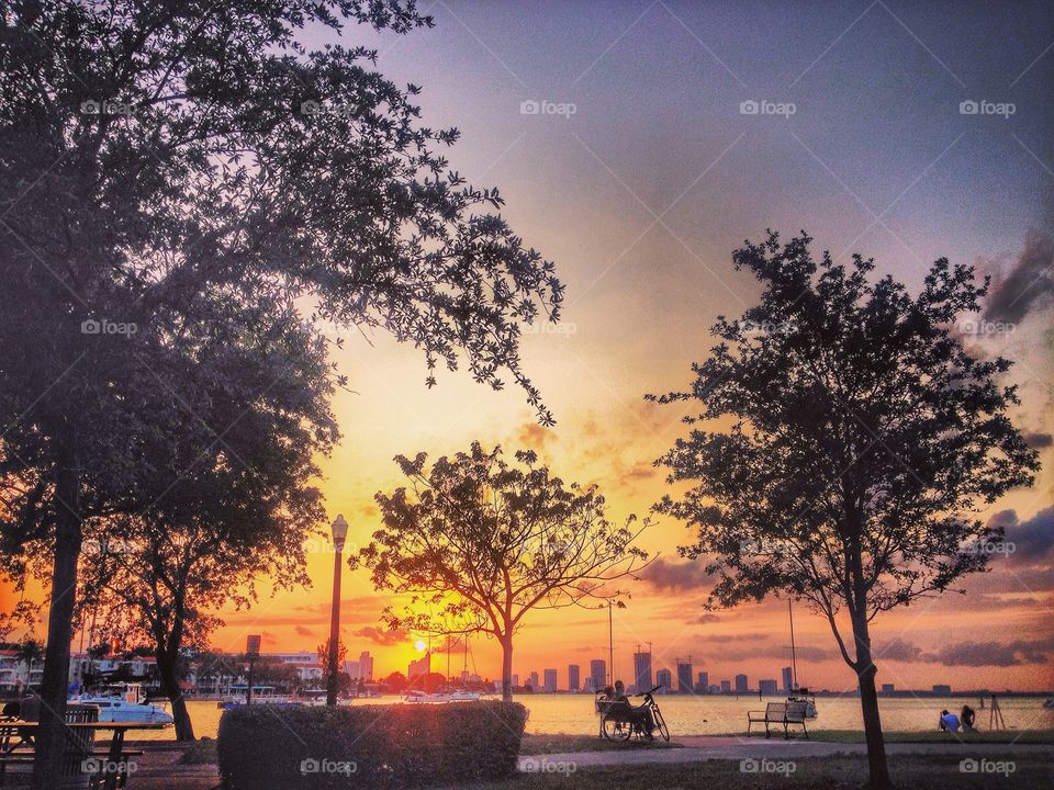 Harbor sunset. Miami