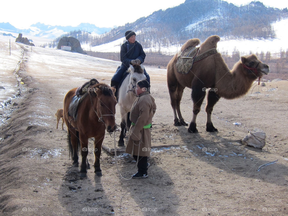 snow mountain tree park by thepapierdollies
