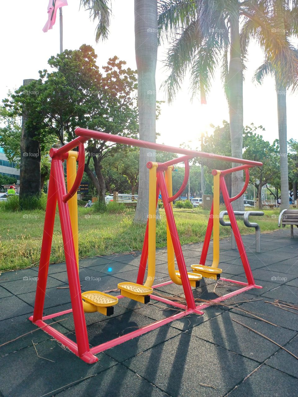 Red on yellow in the sunset.