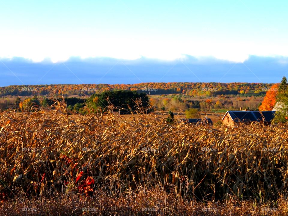 Autumn in Rural America