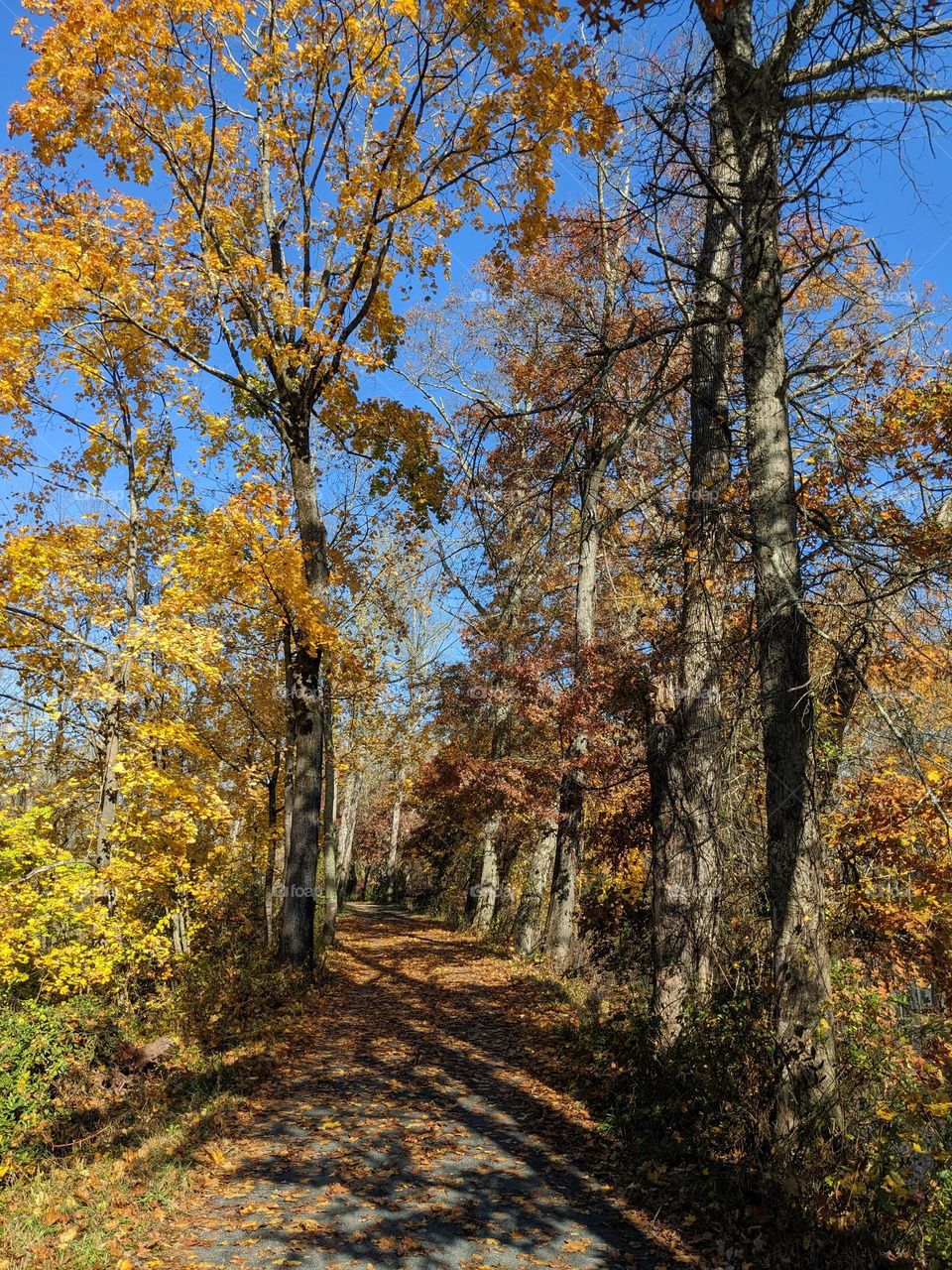 Autumn Park