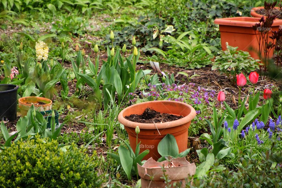 View of a flower bed with freshly planted flower pots in a garden