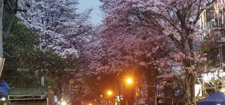 street evening view