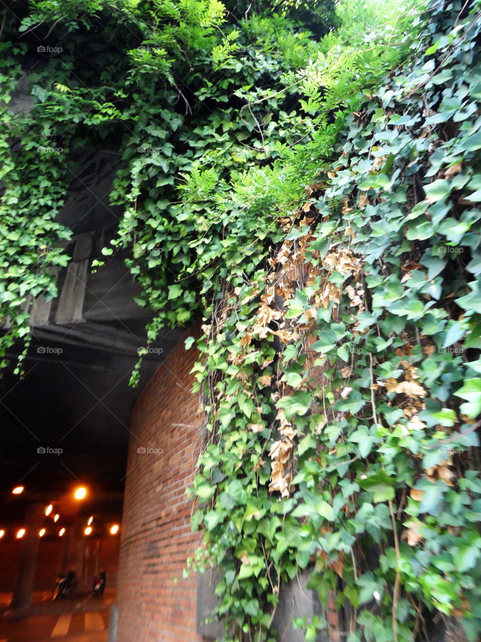 Beautiful urban life