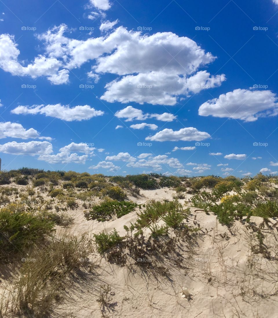 Cloudy beach