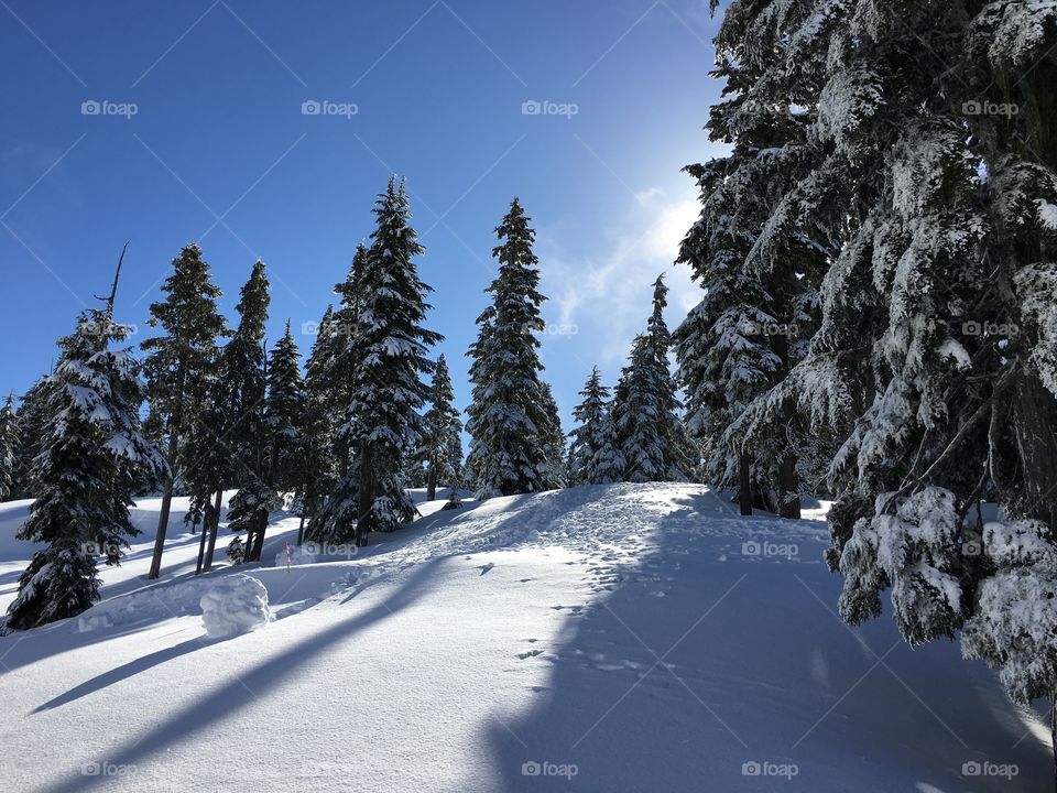 Landscape in winter day