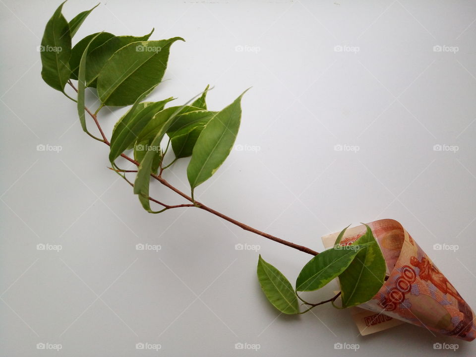 деньги.банк.росток.