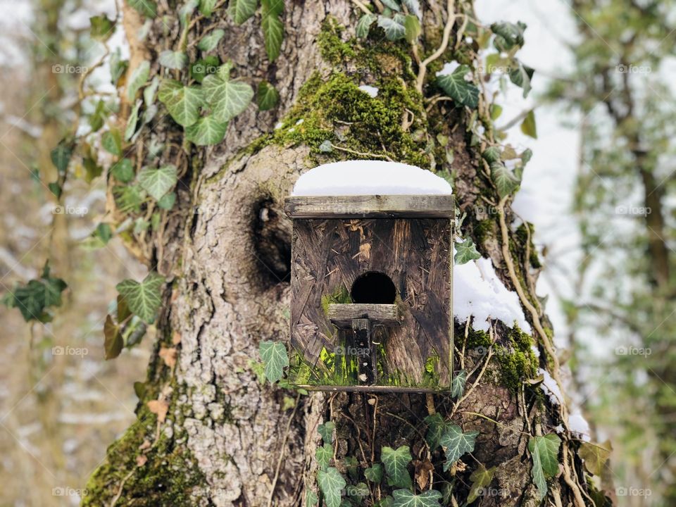 Birdhouse