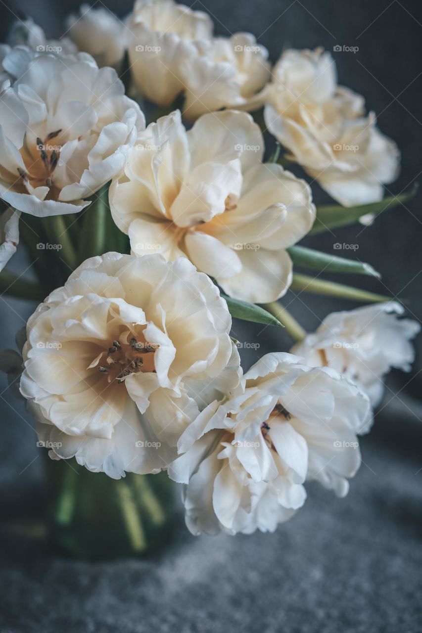 Flowers in the vase 