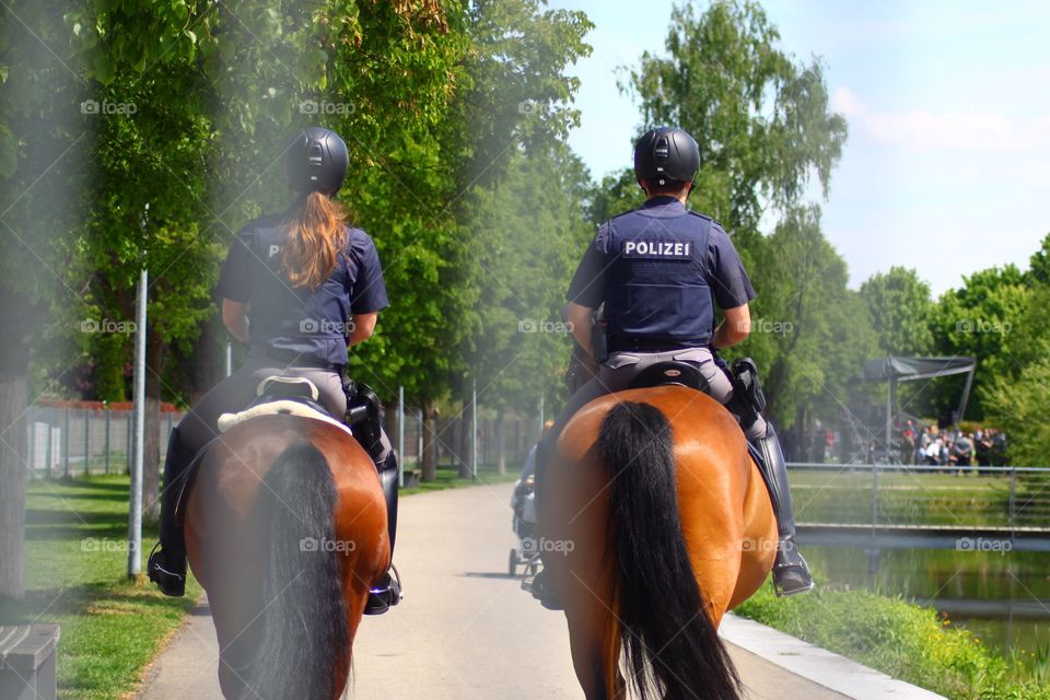 Polizei Pferd