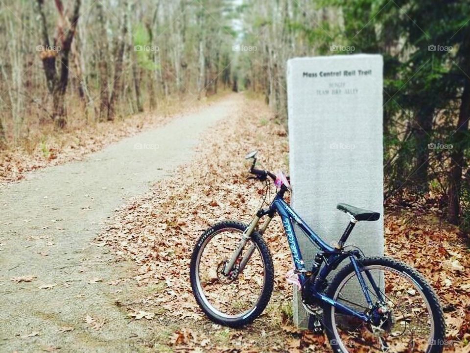 Bike trail