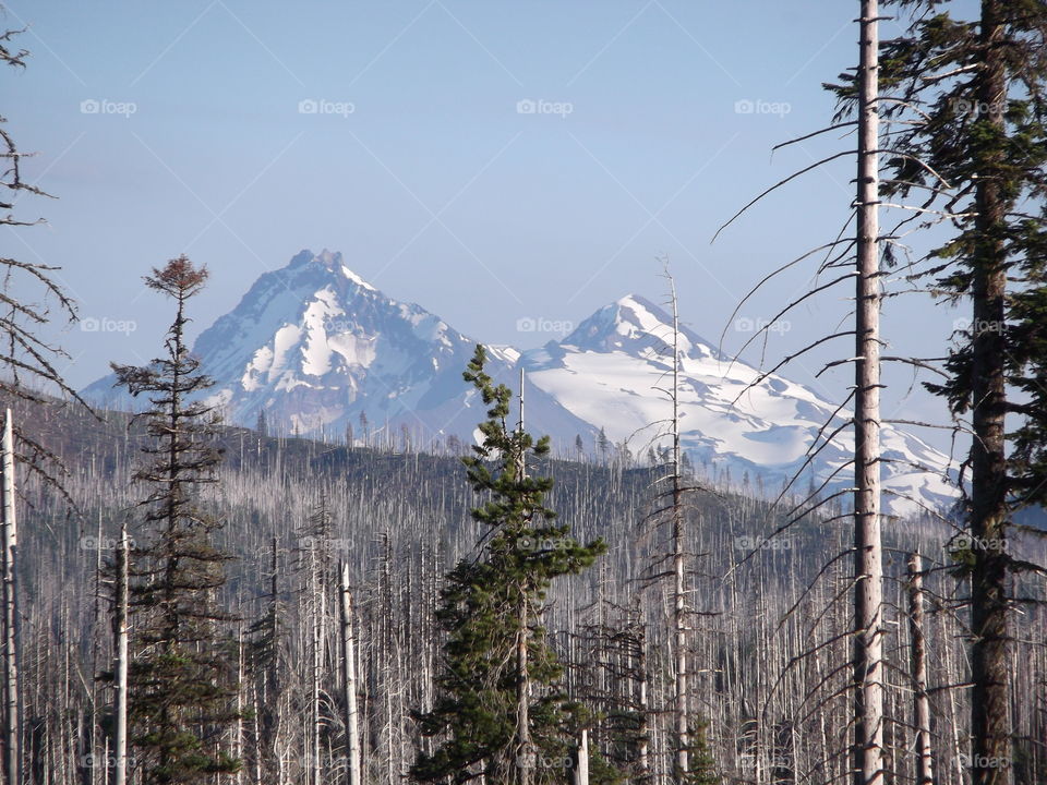 Cascade mountain range. Central Oregon