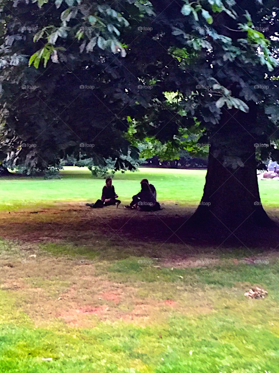 Picknick under the tree! 