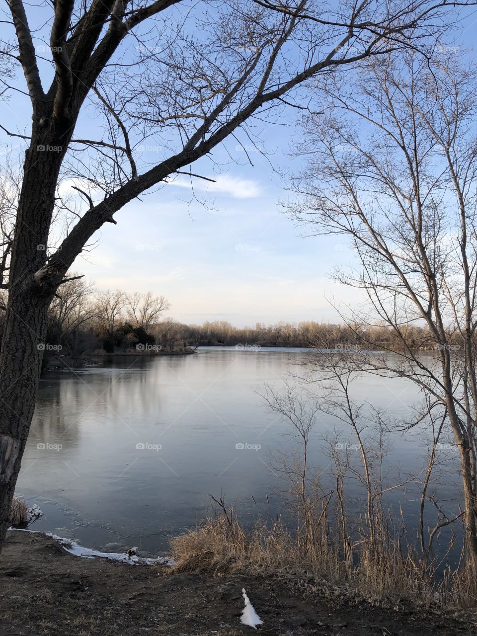 Evening at the lake